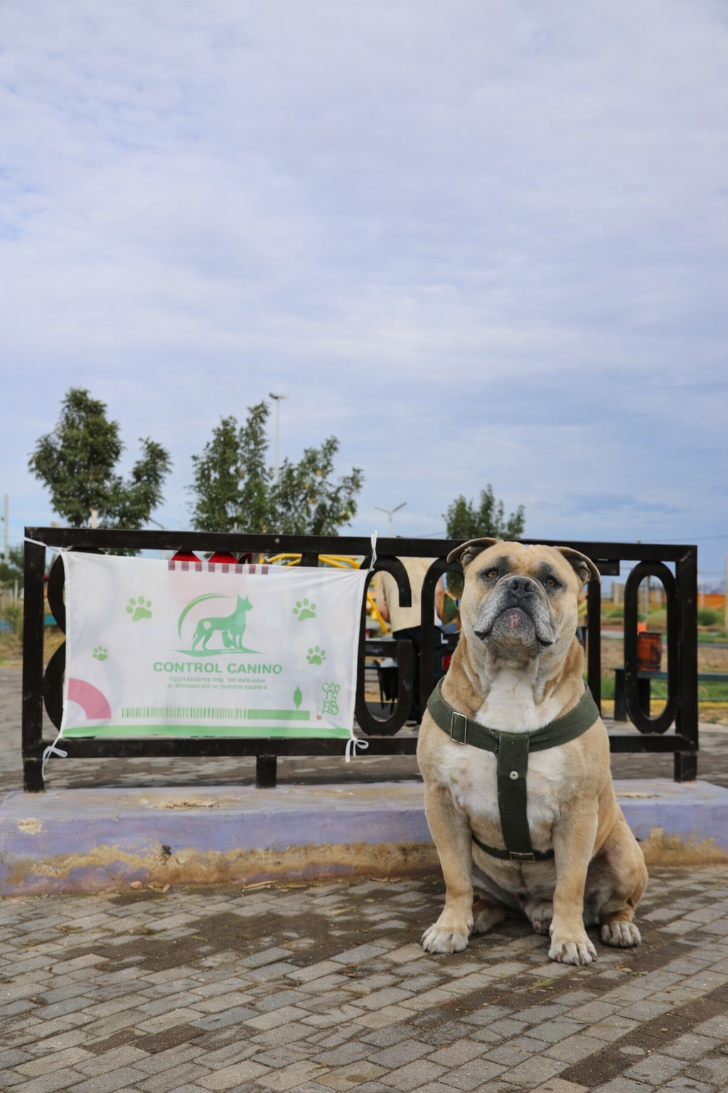 Imagen de JORNADA DE VACUNACIÓN ANTIRRÁBICA Y DESPARASITACIÓN EN PLAZA 8 DE AGOSTO