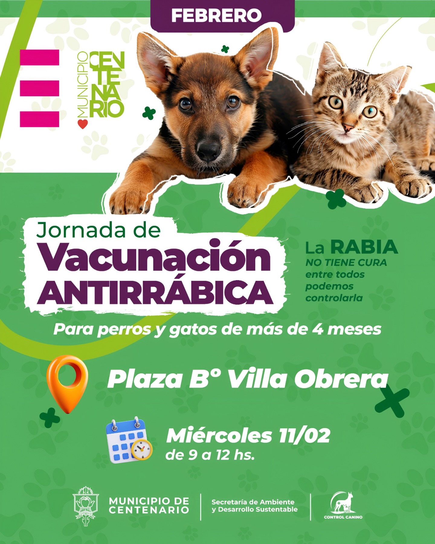 Imagen de EL MIÉRCOLES SE REALIZARÁ UNA NUEVA JORNADA DE VACUNACIÓN Y DESPARASITACIÓN DE MASCOTAS