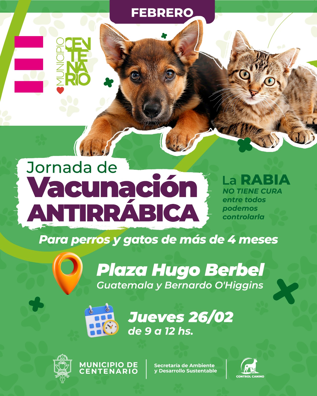 Imagen de JORNADAS ITINERANTES DE VACUNACIÓN ANTIRRÁBICA Y DESPARASITACIÓN EN PLAZA VILLA OBRERA