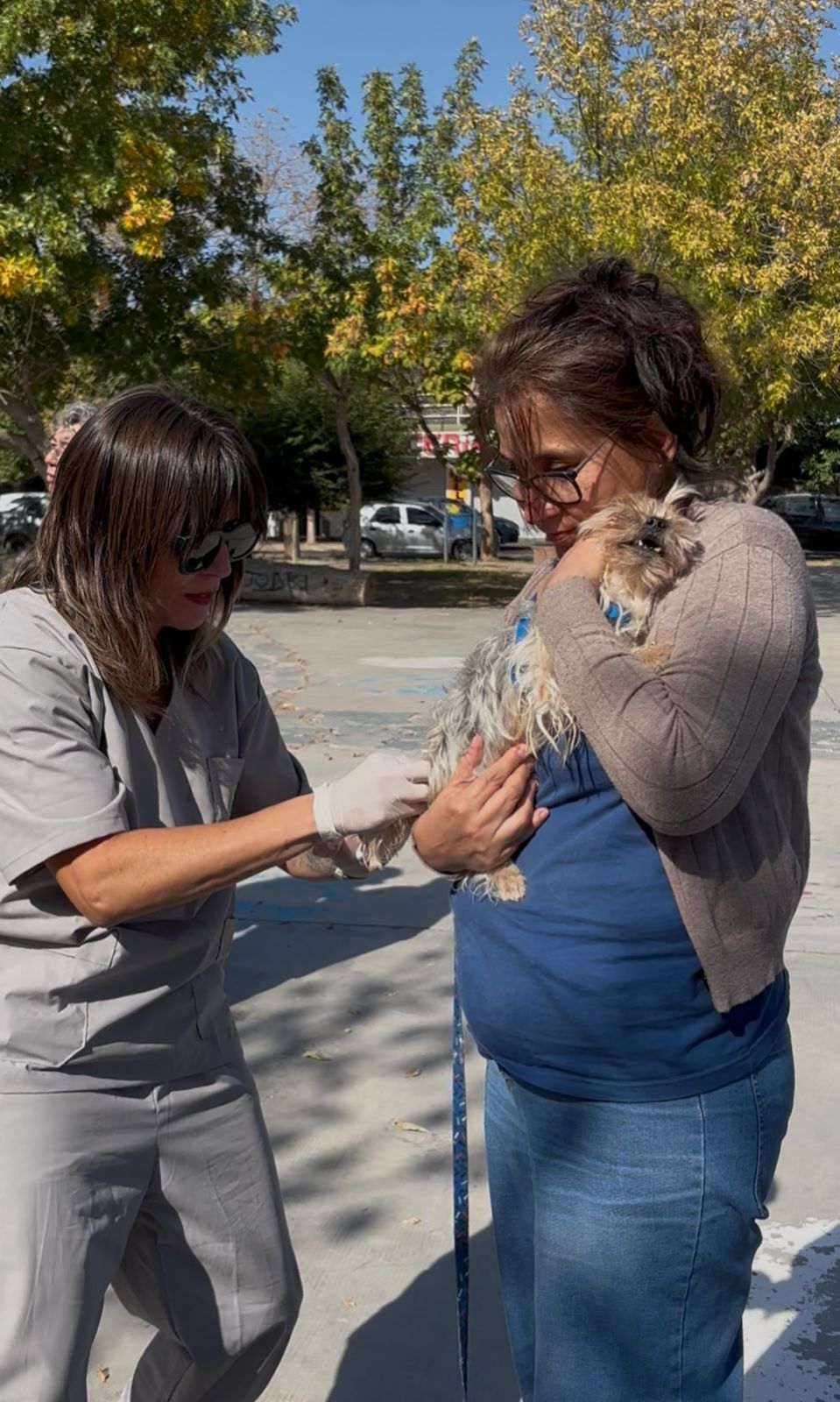 Imagen de JORNADA ANTIRRÁBICA Y DE DESPARASITACIÓN EN PLAZA LOS PIONEROS
