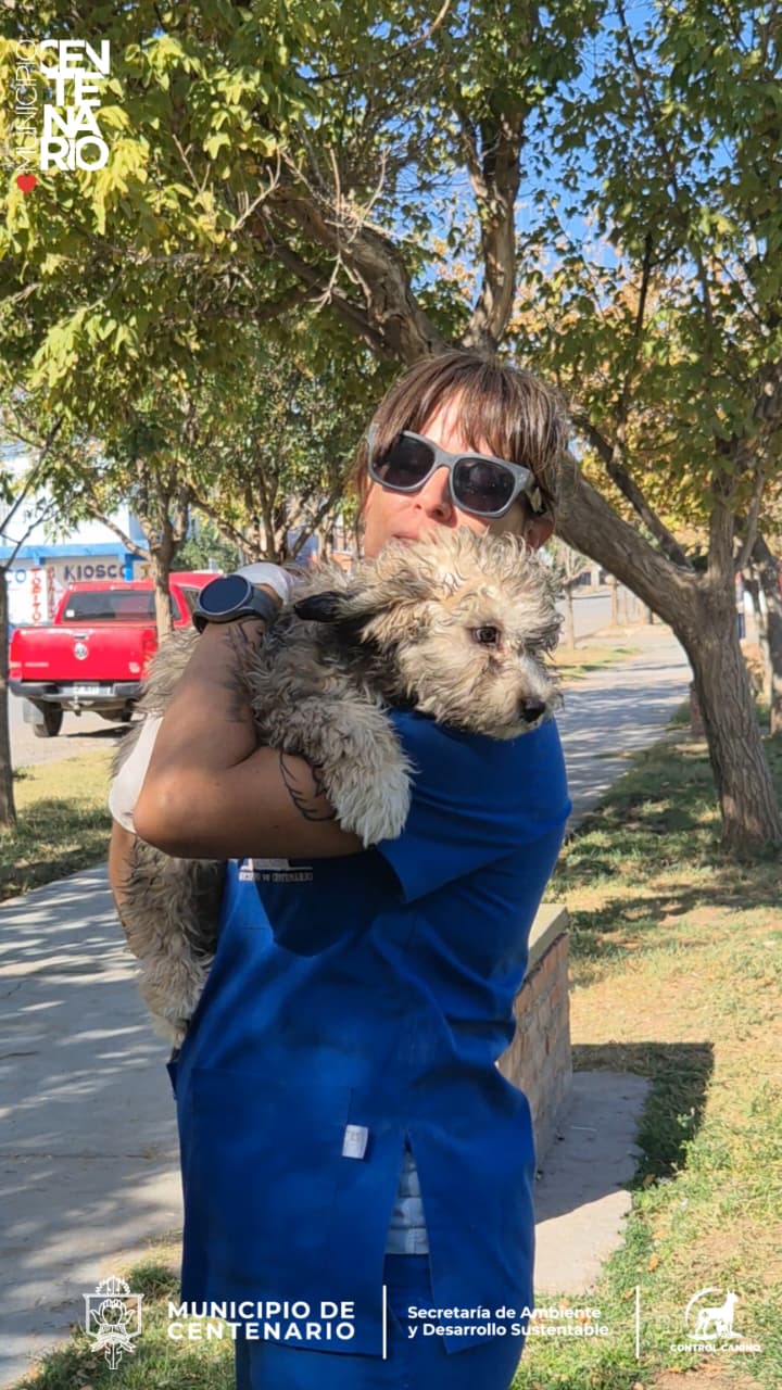 Imagen de EN PLAZA HUGO BERBEL SE HIZO UNA JORNADA ANTIRRÁBICA Y DE DESPARASITACIÓN