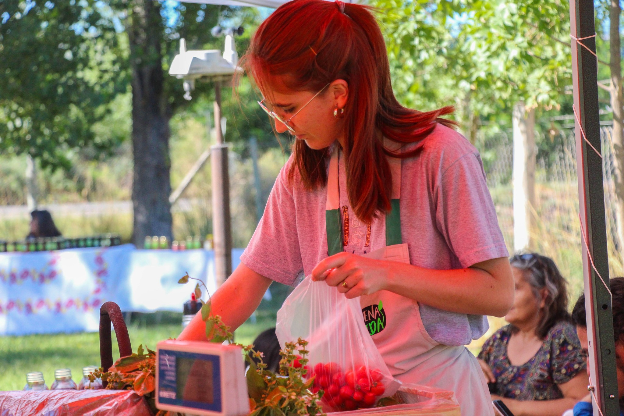 Imagen de NUEVOS TRAYECTOS VINCULADOS A LA PRODUCCIÓN AGROPECUARIA