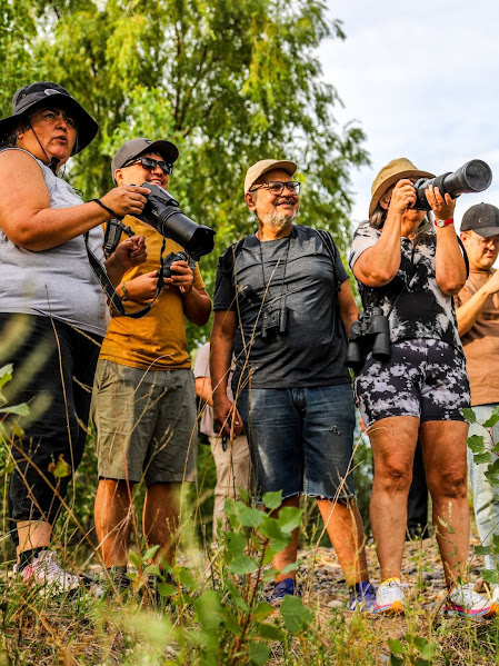 Imagen de AUMENTA EL INTERÉS DE AVISTAJE DE AVES EN CENTENARIO