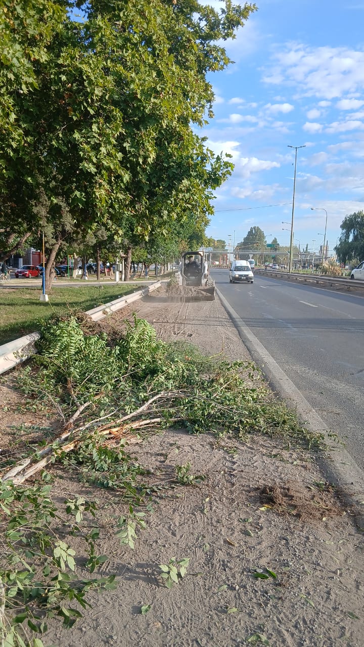 Imagen de TRABAJOS DE LIMPIEZA ENTRE ROTONDAS DE LA RUTA PROVINCIAL 7