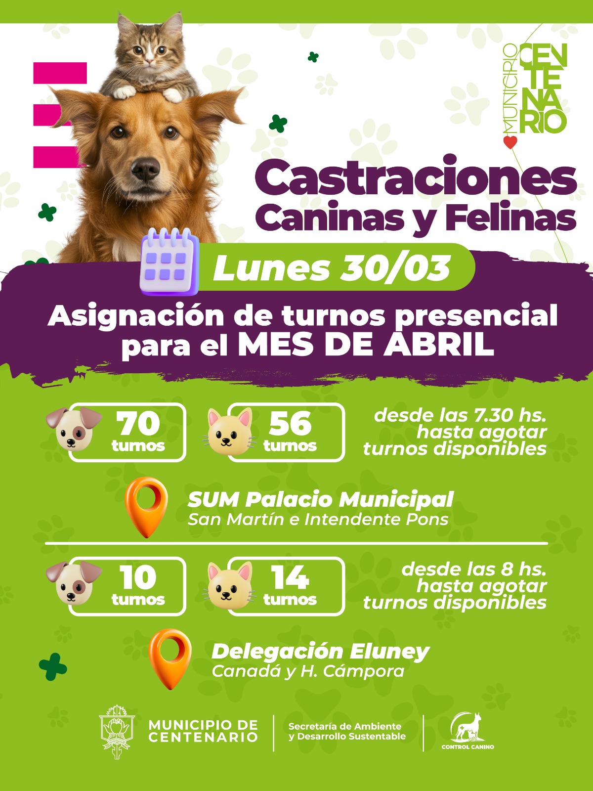 Imagen de EL LUNES 30 SE OTORGARÁN POR PRIMERA VEZ TURNOS PARA CASTRACIONES EN LA DELEGACIÓN ELUNEY